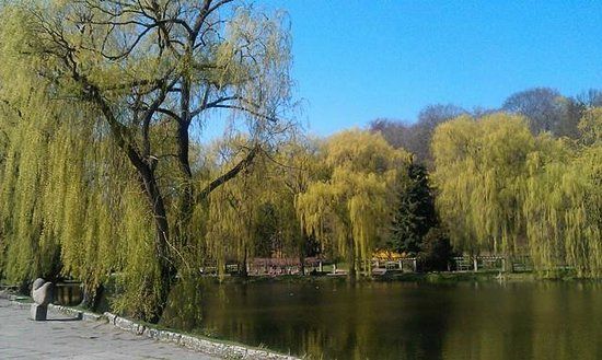 Fontanna Neptuna